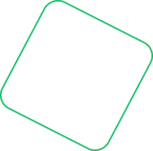 Elite Star Global Holdings Limited