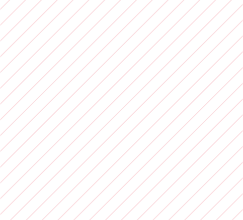 Elite Star Global Holdings Limited